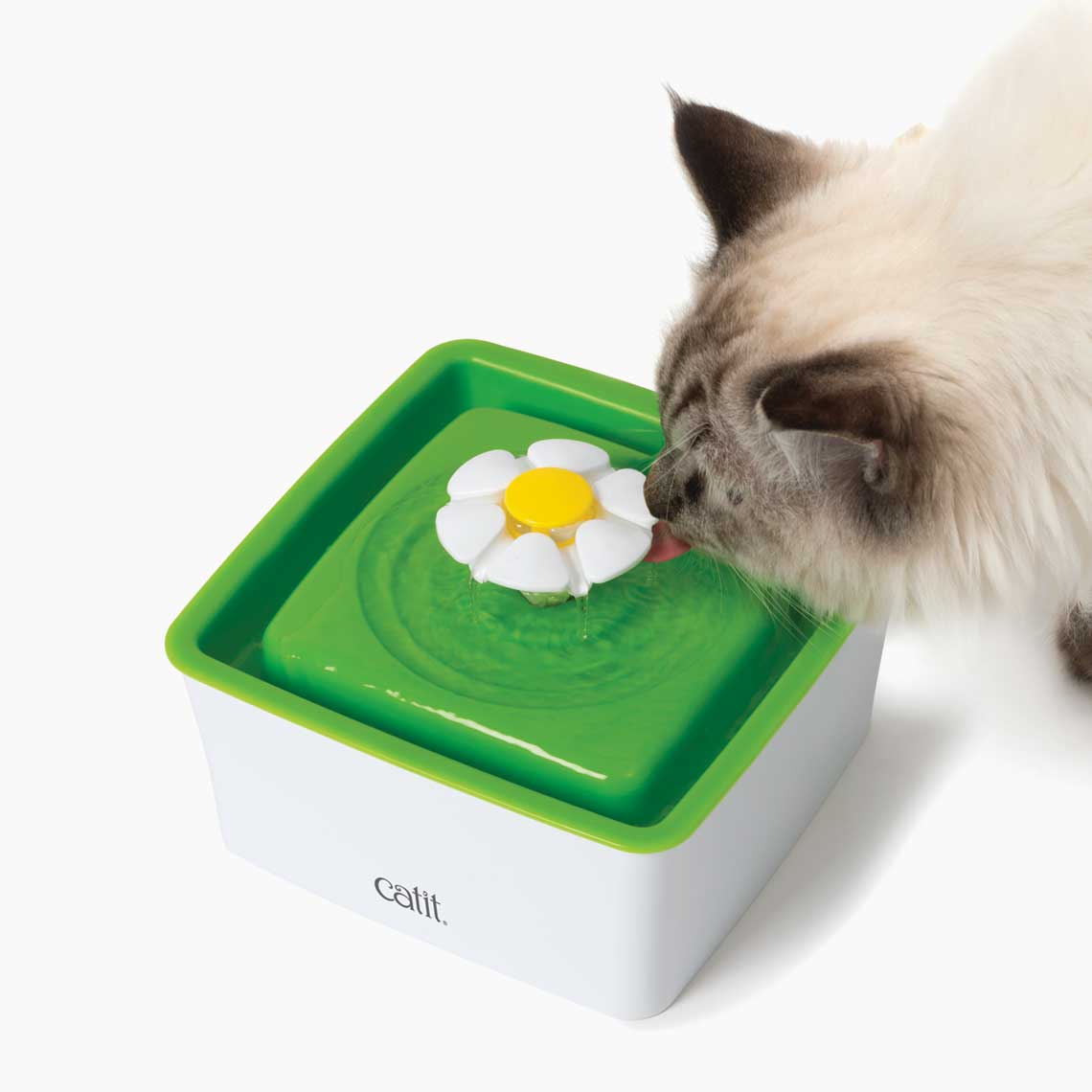 Editorial illustration for Catit Water Fountain Review: Flower and PIXI Strengths, Limits and Filter Trade-offs