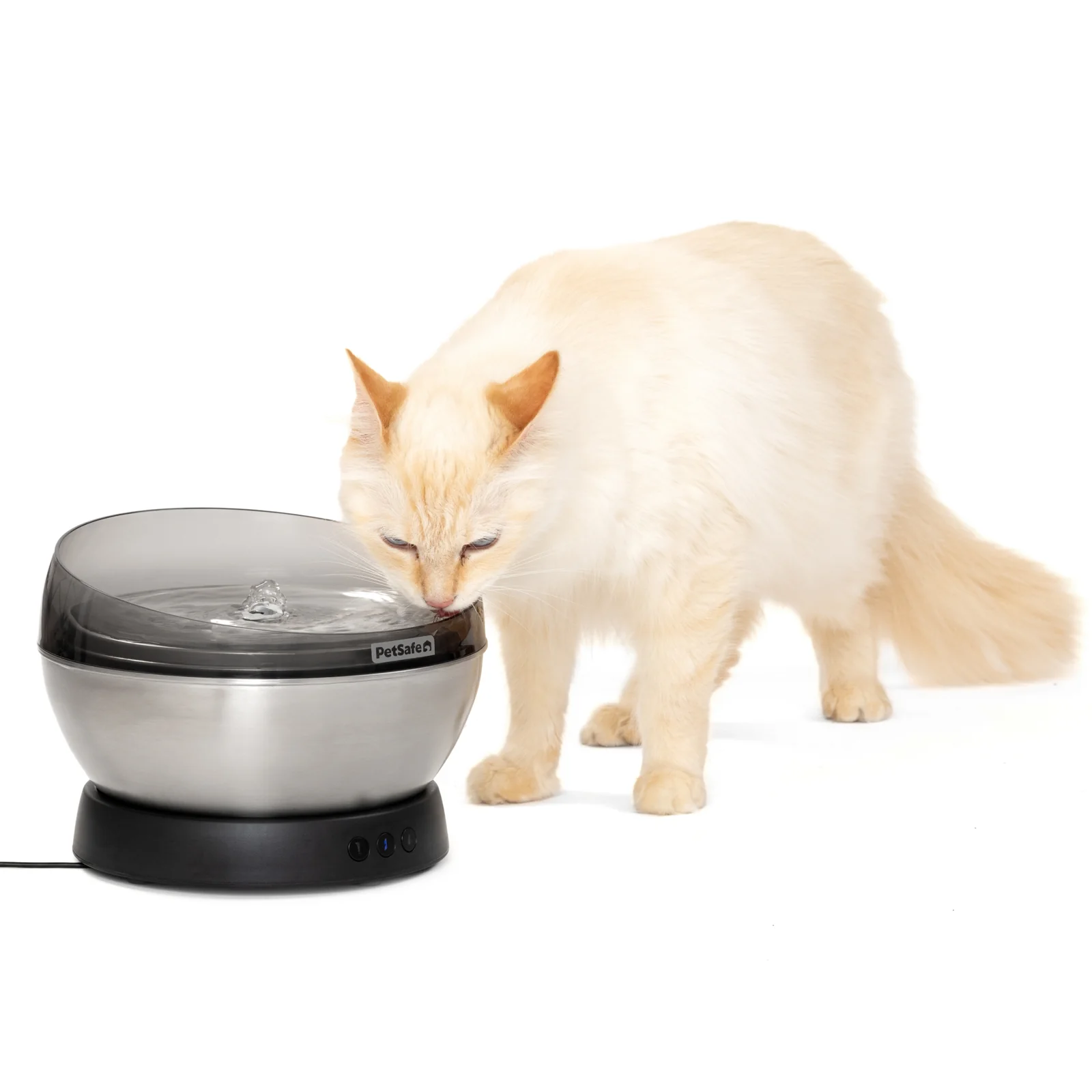 Editorial illustration for How to Spot a Genuine Cat Water Fountain Deal
